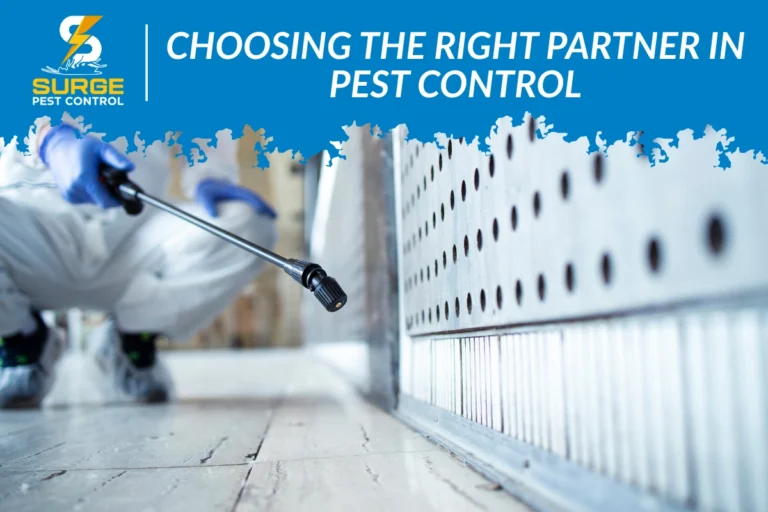 Pest Control