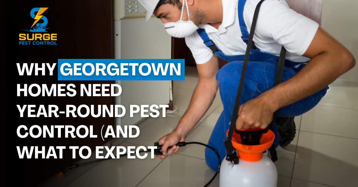 Why Georgetown Homes Need Year-Round Pest Control (And What to Expect)
