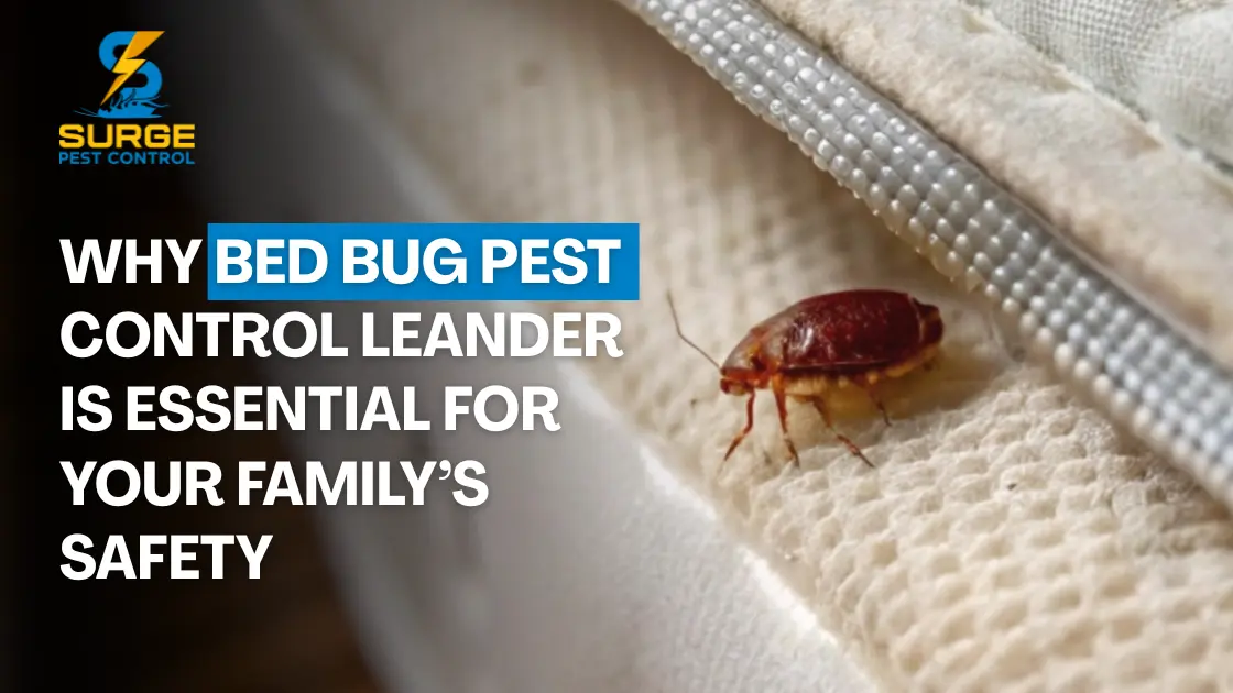 Bed Bug Pest Control Leander