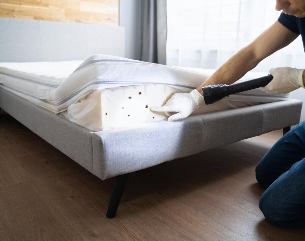Professional bed bug treatment in Hutto, TX for safe pest elimination