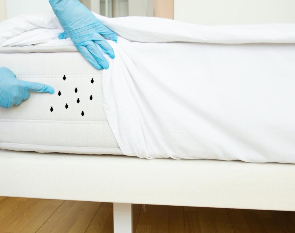 Professional bed bug treatment in Austin, TX for safe pest removal