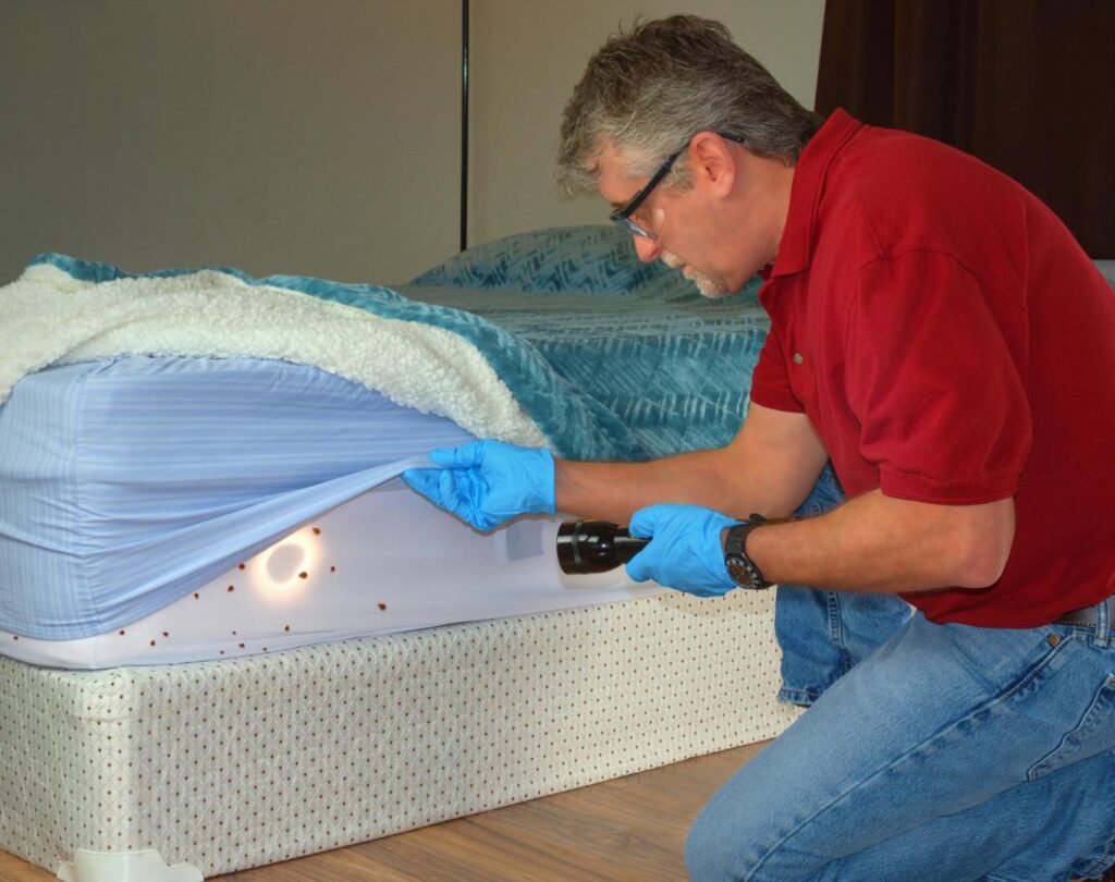 Professional bed bug treatment in Pflugerville, TX for safe pest removal