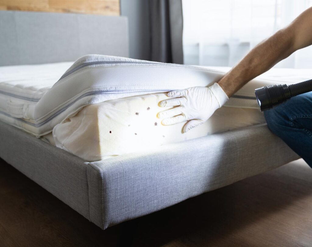 Professional bed bug exterminator in Pflugerville, TX for safe pest removal