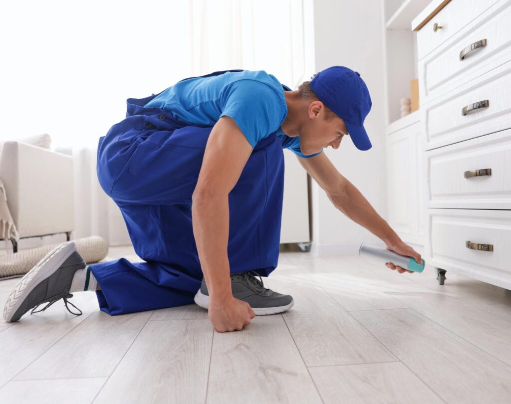 Professional rodent control in Liberty Hill, TX for safe pest removal