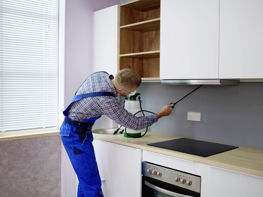 Local exterminator near me in Cedar Park, TX with proven results