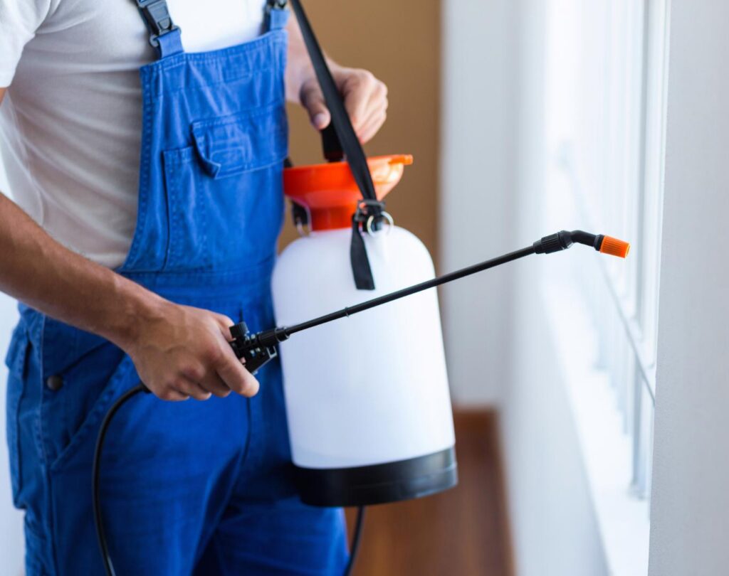 Professional exterminator in Hutto, TX providing safe pest control