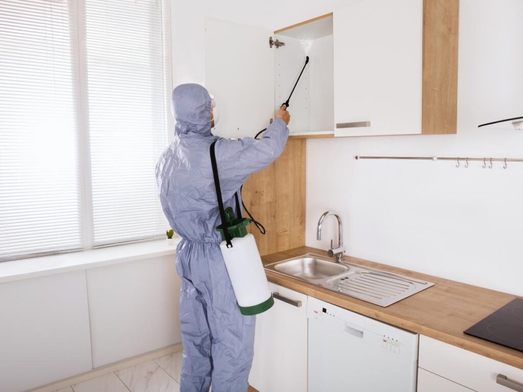 Professional exterminator in Round Rock, TX providing safe pest control