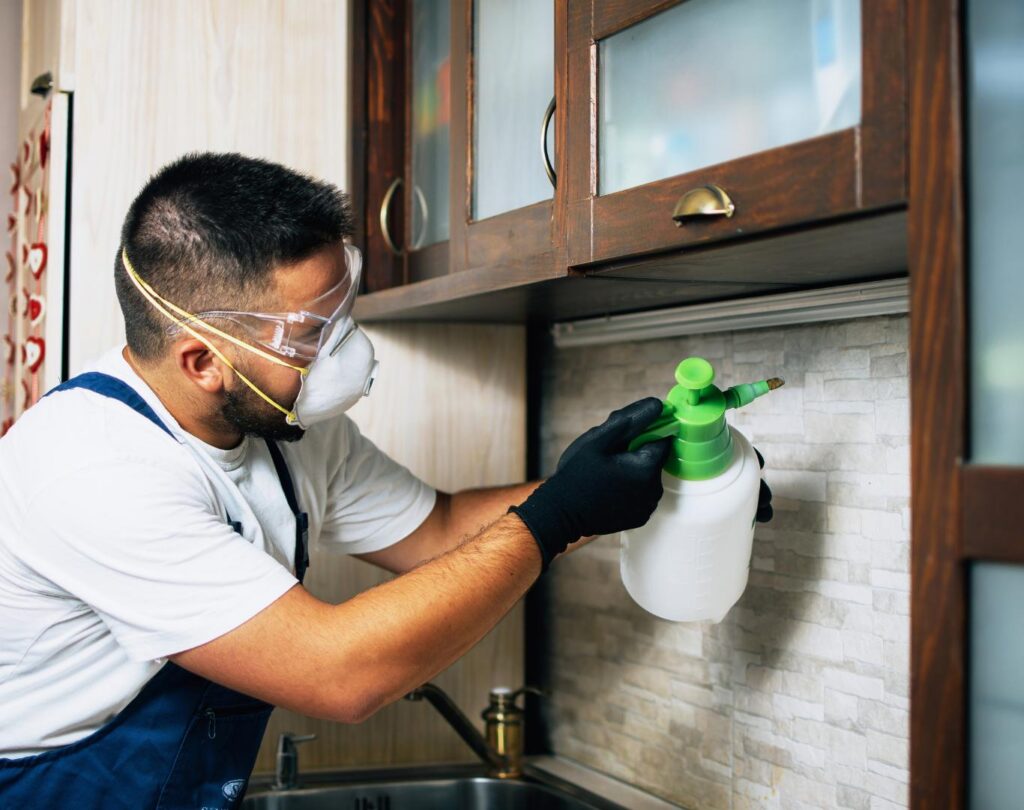 Local ant control near me in Hutto, TX with safe pest treatments