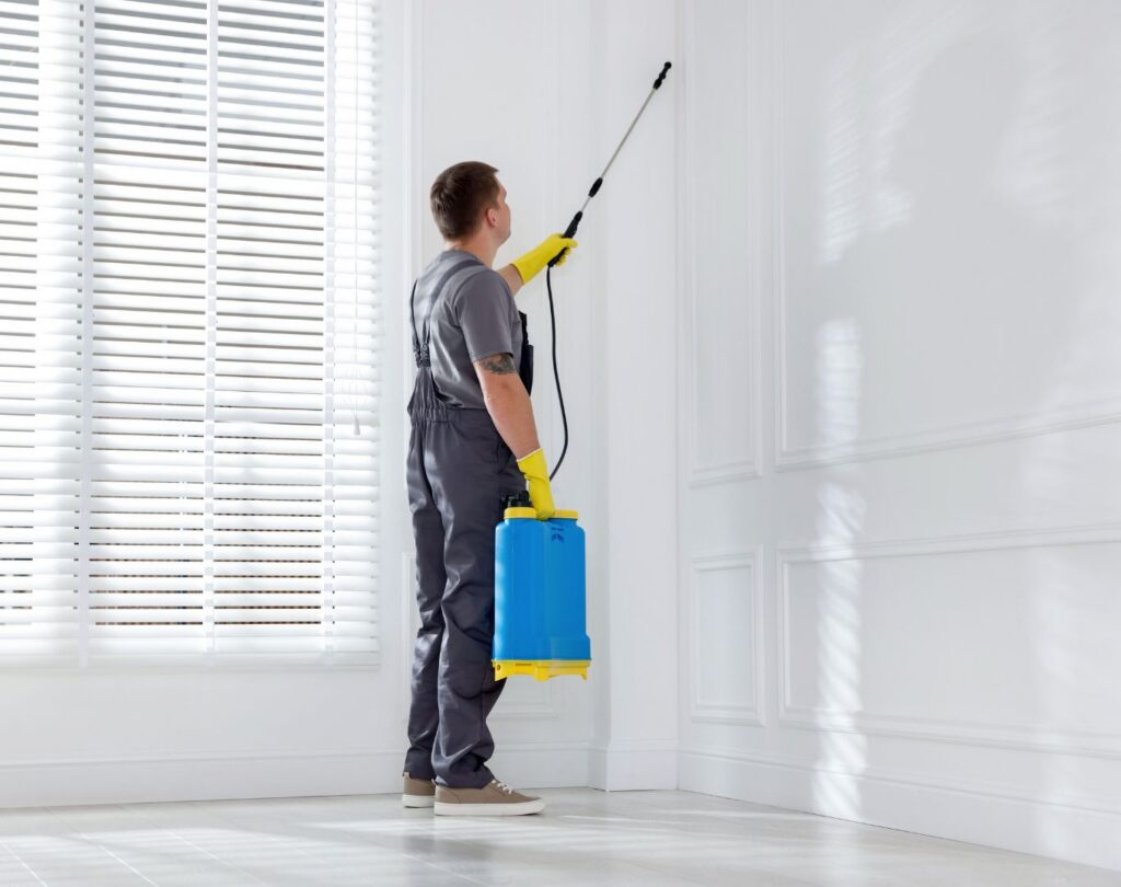 Local termite control near me in Cedar Park, TX with safe treatment methods