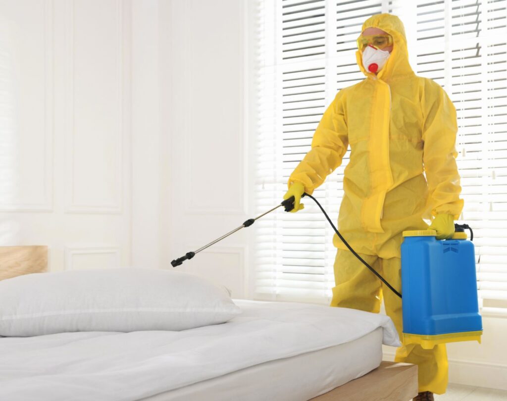 Local termite control near me in Liberty Hill, TX with safe treatments