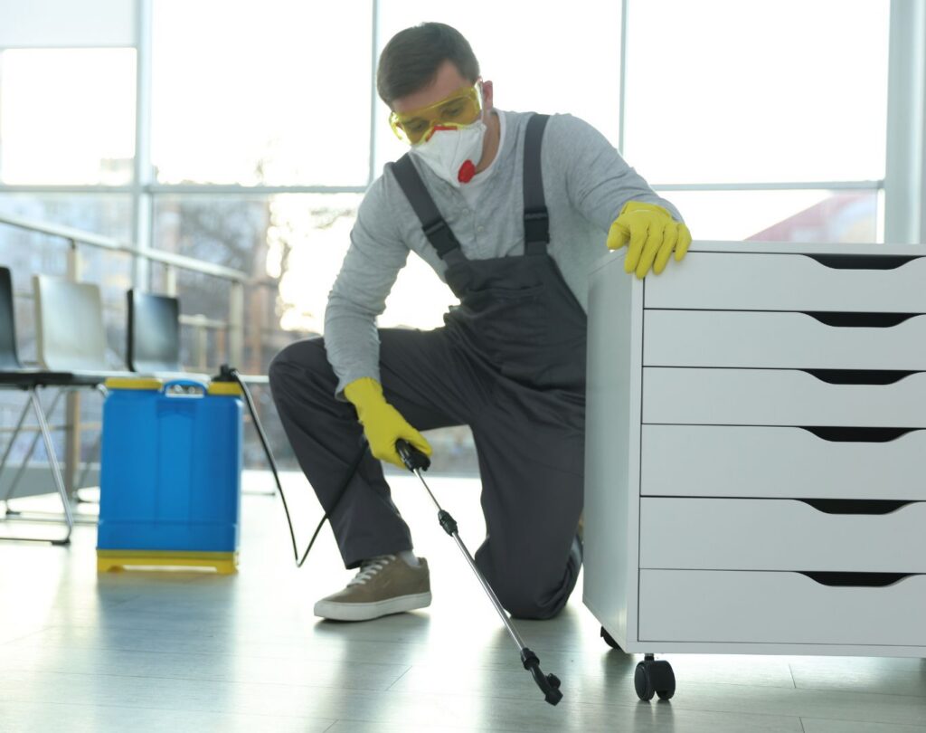 Professional termite control in Cedar Park, TX protecting residential structures