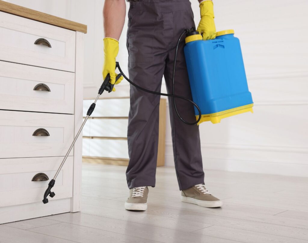 Local termite control near me in Round Rock, TX with safe treatment methods