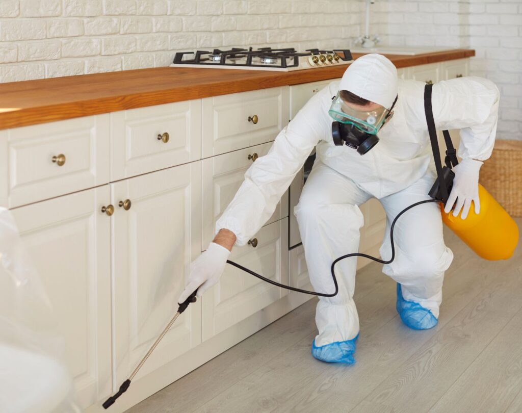 Local termite inspection near me in Leander, TX with detailed evaluations