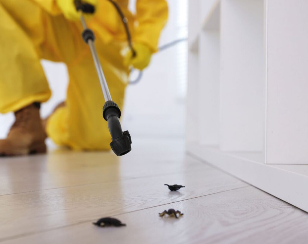 Professional termite control in Hutto, TX protecting residential structures