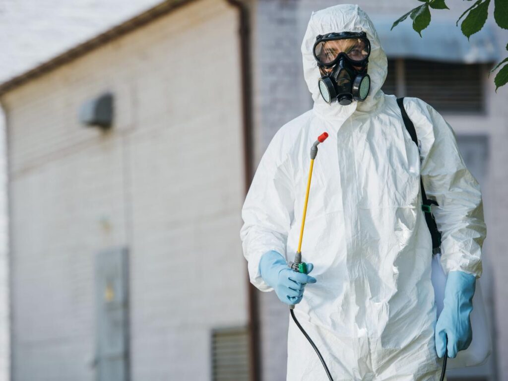 Local termite inspection near me in Cedar Park, TX with detailed property evaluations