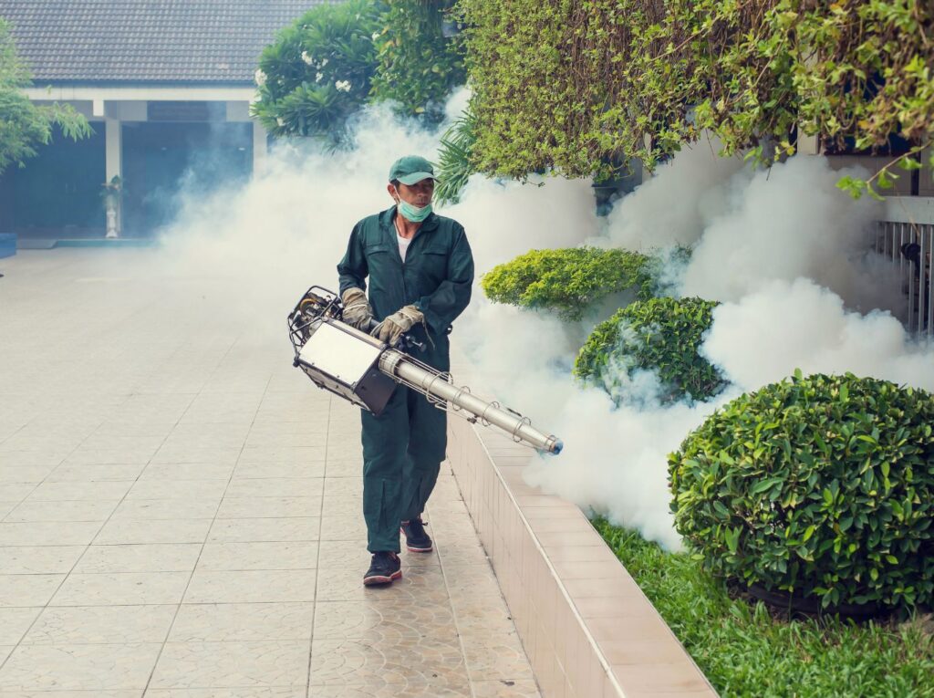 Targeted Mosquito Pest Control in Hutto, TX for backyard mosquito activity