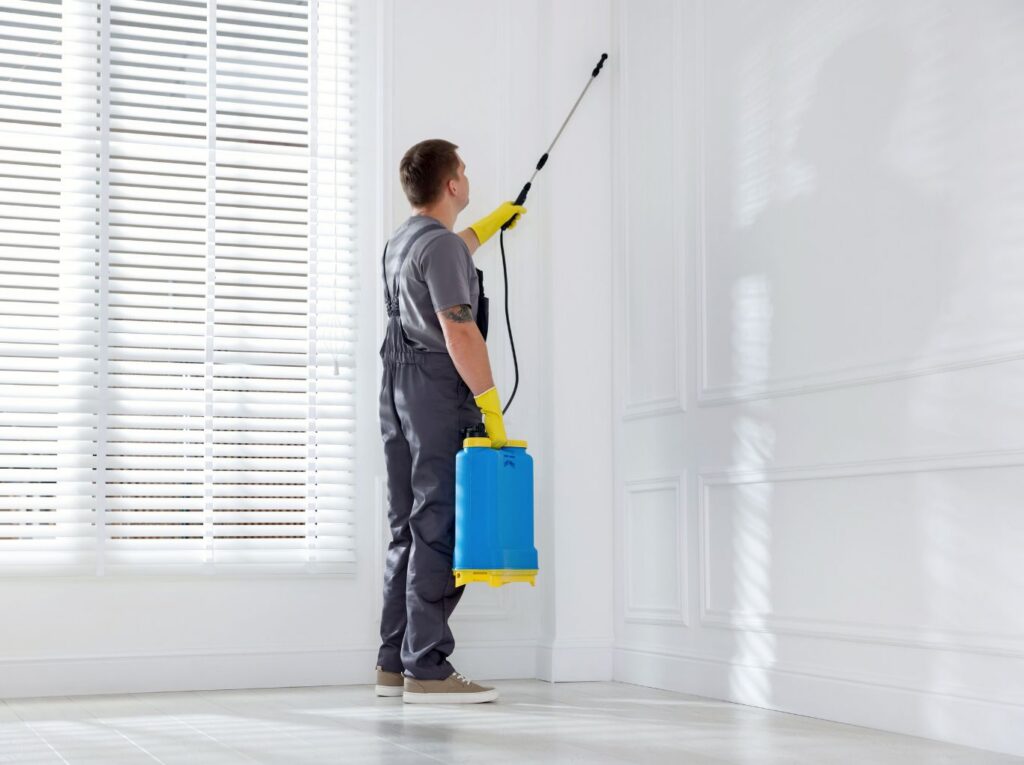 Technician providing Mosquito Pest Control near me in Hutto, TX around indoor space