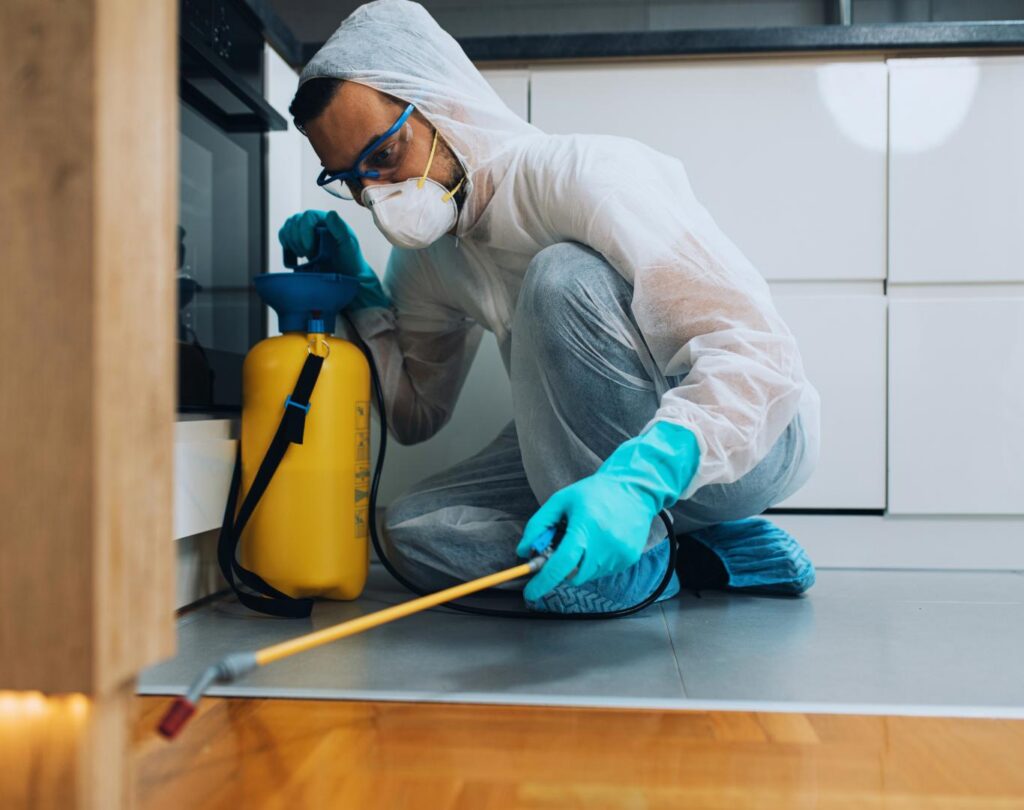 Technician providing Ant Pest Control near me in Hutto, TX around exterior entry areas